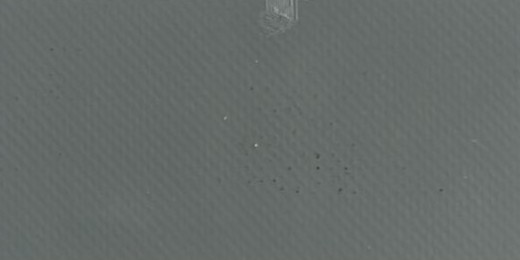 Gris Basique